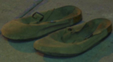 [images of two mules (footwear) on a sidewalk]