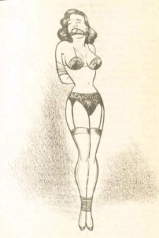 [image of bound and ball-gagged standing woman in lingerie and heels]
